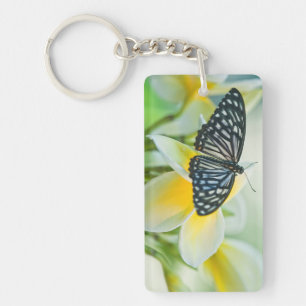 Porte-clés États-Unis, Pennsylvanie. Papillon swallowtail