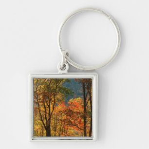 Porte-clés États-Unis, Tennessee. Feuillage d'automne
