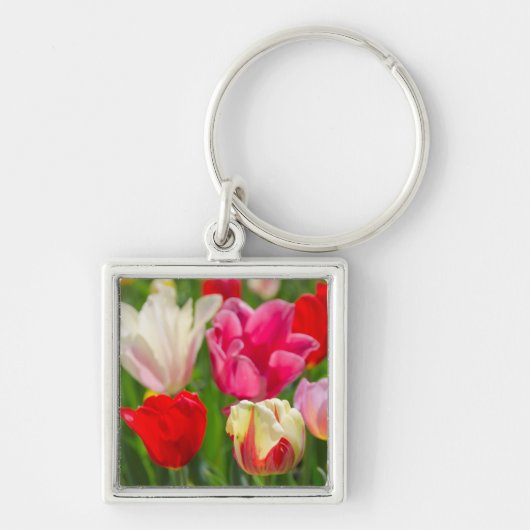 Porte-clés États-Unis, Tennessee, Nashville (Devant)