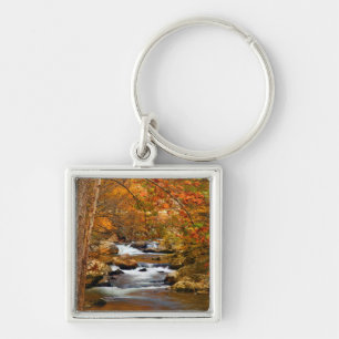 Porte-clés États-Unis, Tennessee. Rushing Mountain Creek