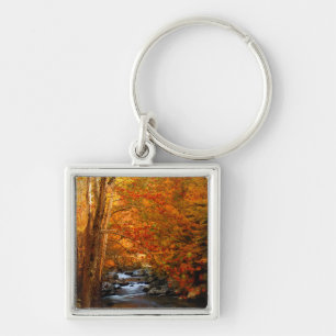 Porte-clés États-Unis, Tennessee. Rushing Mountain Creek 2