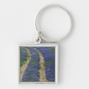 Porte-clés États-Unis, Texas, près de Marble Falls, Traces en
