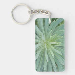 Porte-clés États-Unis, Washington, Bellevue, Bellevue Botanic