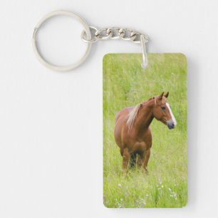 Porte-clés États-Unis, Washington, Cheval dans un champ print