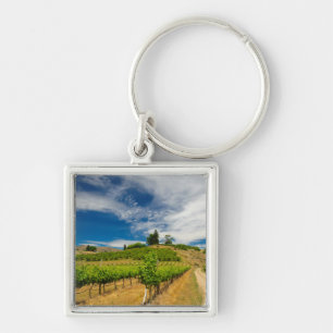 Porte-clés États-Unis, Washington, Lake Chelan. Vignoble 3