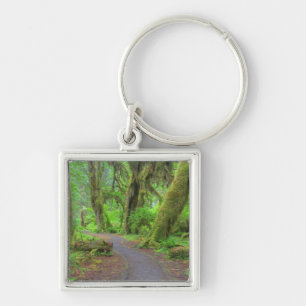 Porte-clés États-Unis, Washington, Parc national Olympique, H