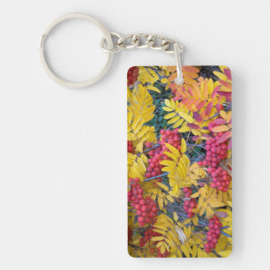 Porte-clés États-Unis, Washington, Sorbus de l'Ouest, Okanoga