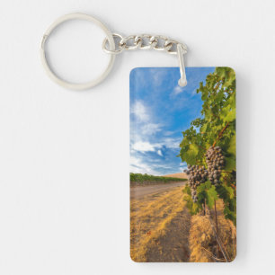 Porte-clés États-Unis, Washington, Yakima Valley. Raisins Mer