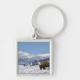 Porte-clés États-Unis, WY, Parc national de Yellowstone, Biso