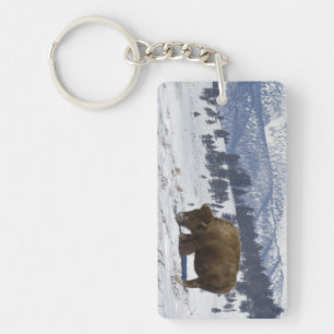 Porte-clés États-Unis, WY, Parc national de Yellowstone, Biso