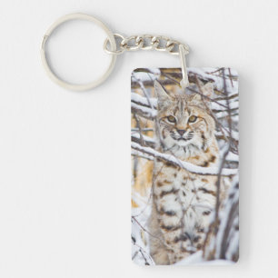 Porte-clés États-Unis, Wyoming, Bobcat