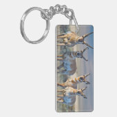 Porte-clés Etats-Unis, Wyoming, quatre dollars d'antilope Pro (Devant gauche)