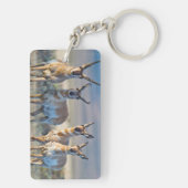 Porte-clés Etats-Unis, Wyoming, quatre dollars d'antilope Pro (Dos)