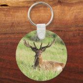 Porte-clés Étiquettes de la Nouvelle-Zélande (Recto)