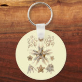Porte-clés Étoiles bretonnes (Recto)