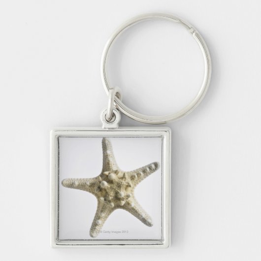 Porte-clés Étoiles de mer (Devant)