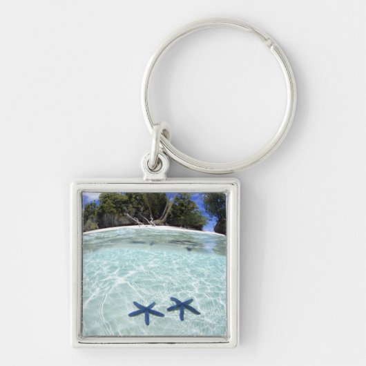Porte-clés Étoiles de mer, îles Rocheuses, Palaos 2 (Devant)