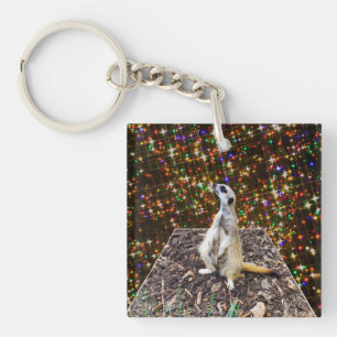 Porte-clés Étoiles Meerkat Twinkle, Clavier