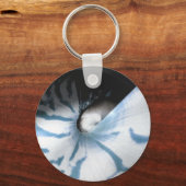 PORTE-CLÉS ÉTUDE SUR LES COQUILLES BLEU (Recto)