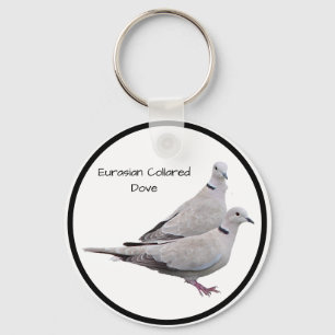 Porte-clés Eurasian Collared Dove