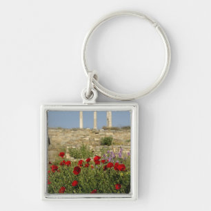 Porte-clés Europe, Grèce, Cyclades, Délos. Ruines de colonnes