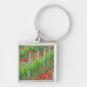Porte-clés Europe, Italie, Toscane. Coquelicots rouges coloré
