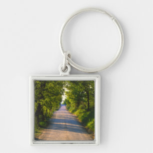 Porte-clés Europe, Italie, Toscane, route bordée d'arbres