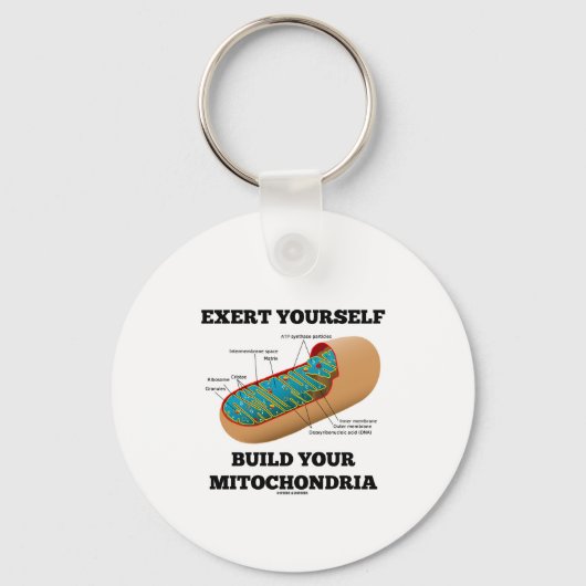 Porte-clés Évitez De Construire Vos Mitochondries (Recto)