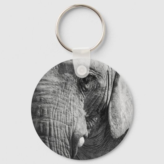 Porte-clés Eye Spy (Recto)