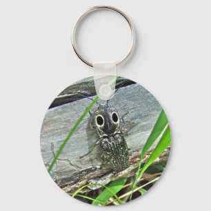 Porte-clés Eyed Elater Click Beetle - Alaus oculatus