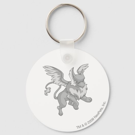 Porte-clés Eyrie Silver (Recto)