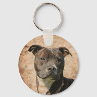 Porte-clés Face de pitbulle