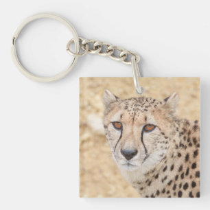 Porte-clés Face of the Wild : Le regard intense de Cheetah