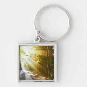 Porte-clés Faisceaux de Sun par la forêt en parc national