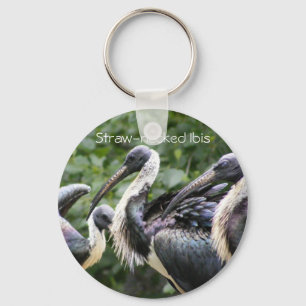 Porte-clés Faites-vous zoo ? IBIS Paille-étranglé