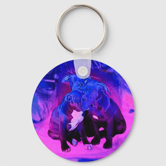 Porte-clés Faith Hope & Charity, Chiens Taureau Abus (Recto)