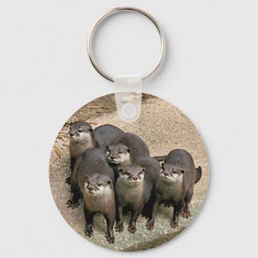 Porte-clés Famille adorable de Otter (Recto)