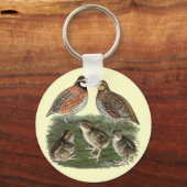 Porte-clés Famille Bobwhite Quail (Recto)