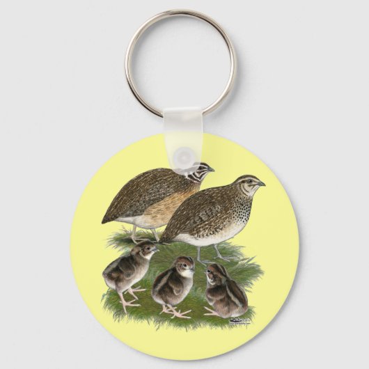 Porte-clés Famille de Cailles Coturnix (Recto)