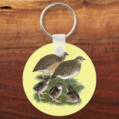 Porte-clés Famille de Cailles Coturnix (Recto)