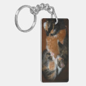 Porte-clés Famille de chatons endormis (Devant gauche)