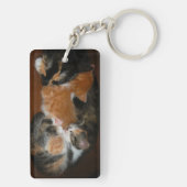 Porte-clés Famille de chatons endormis (Dos)