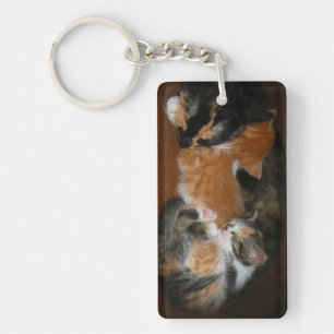 Porte-clés Famille de chatons endormis