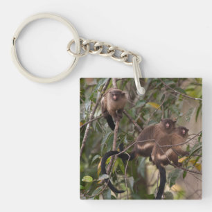 Porte-clés Famille de marmousets singes