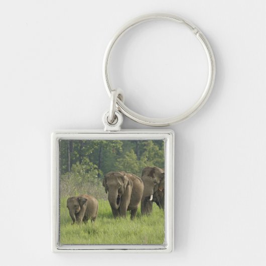 Porte-clés Famille d'éléphants indiens (Devant)