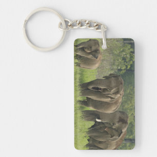 Porte-clés Famille d'éléphants indiens