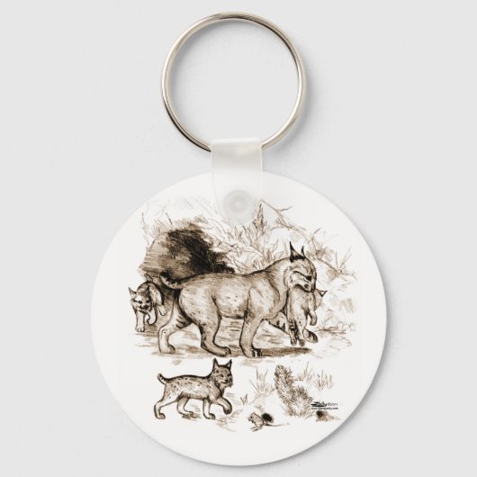 Porte-clés Famille du Lynx roux (Recto)