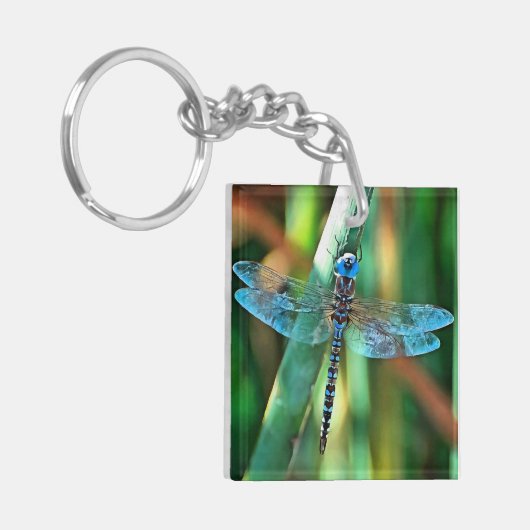 Porte-clés Fantasy Dragonfly (Devant gauche)