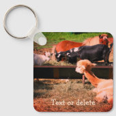 Porte-clés Farm Animal Friends Nature Personalized (Recto)