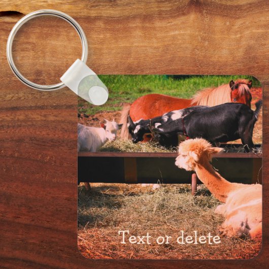 Porte-clés Farm Animal Friends Nature Personalized (Recto)